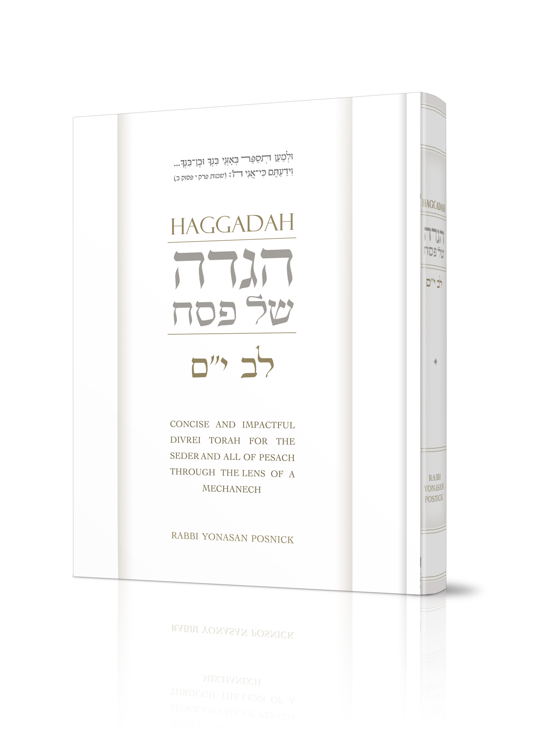 הדמיה הגדה