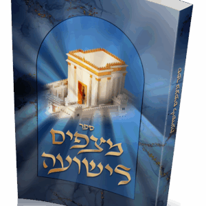 מצפים לישועה