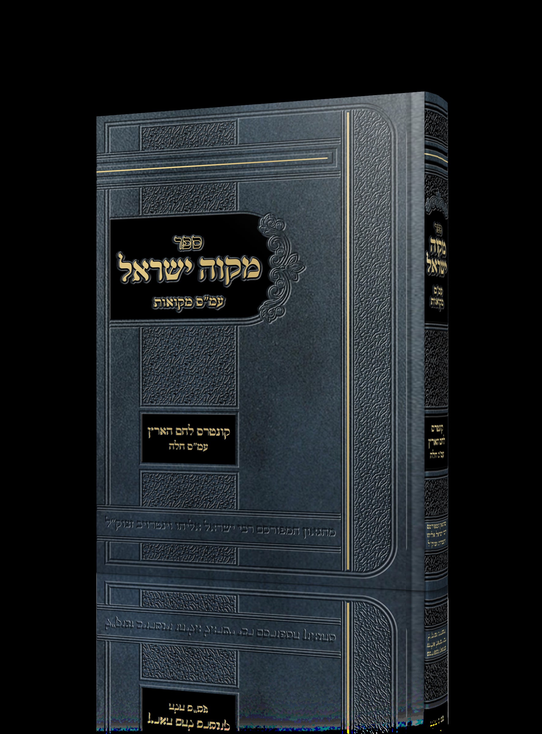 מקוה ישראל