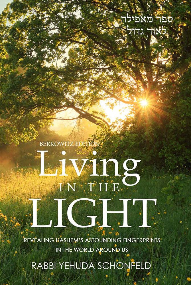 Living In The Light