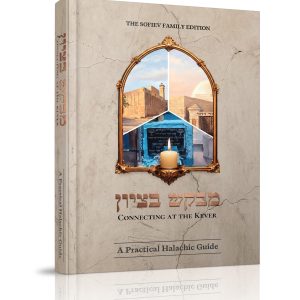 מבקש בציון<BR>Connecting at the Kever